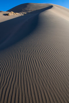 Drift sand dunes in the Gobi desert