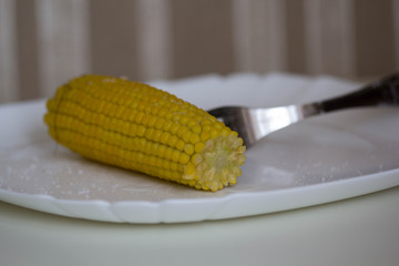 boiled corn on the cob