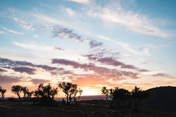 Obraz premium Sunrise Southafrica Addo Park