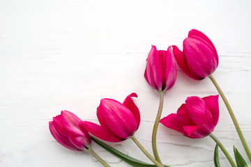 Bouquet of pink tulips on white wooden background, top view