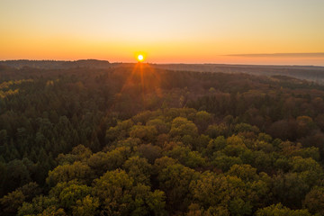 Aerial drone shot of pine tree forests and heathland in Luneberg Heide in Germany during sunset hour