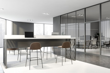 Gray coworking area in modern office