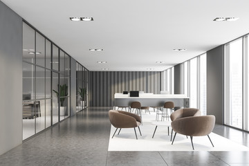 Gray office with coworking and waiting room