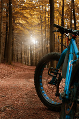 Fat bike in autumn forest