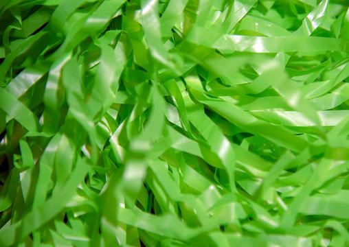 Abstract green background of thin rustling ribbons.