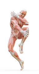 muscleman anatomy heroic body dancing pose three in white background