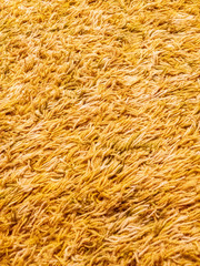 Bright yellow carpet shag background texture
