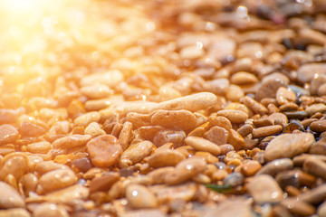 Sea pebble background