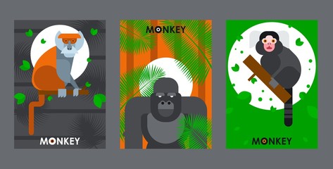 Apes and monkeys in flat style banners, vector illustration. African zoo animals, jungle safari, exotic wildlife. Zoo invitation banner, brochure cover template. Tropical ape gorilla, jungle animals