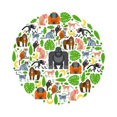Tropical apes and monkeys in round frame composition, vector illustration. Flat style cartoon characters, jungle nature, isolated icons. Zoo animals, African wildlife safari. Apes, monkeys and leaves
