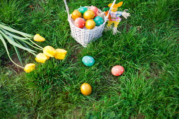 Basket of decorated eggs with flowers on green meadow