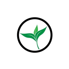 Green leaf logo