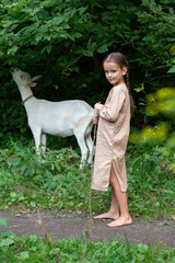 Little girl goatherd in forest. Cute girl with beautiful but dirty face grazing goats, summer...
