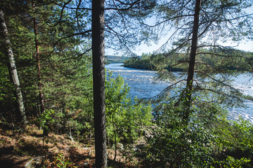 View of Kalix river, Kalixalven, Overkalix locality and the seat in Norrbotten county, Sweden, with forest in sunny summer day, aerial drone view