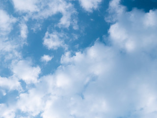 The blue sky on earth. Low Angle