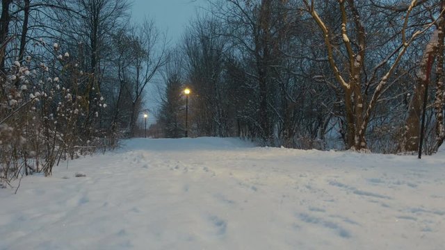 Pedestrian Path during Snow Storm. End of the Day with Street Lamp On. Windy. 4K