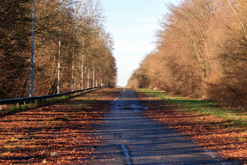 L'autoroute est déserte