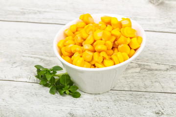 Young sweet corn
