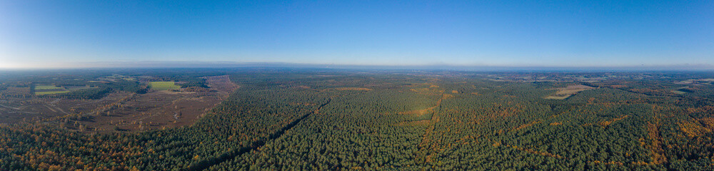 Fototapeta na wymiar Aerial panoramic drone shot of Luneberg Heide forests pine trees in autumn