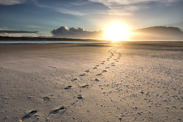 chemin de piste sur la plage de sable au soleil