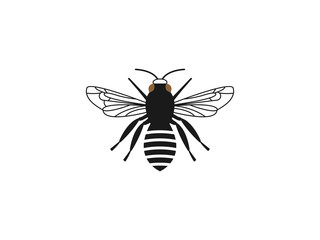 Bee honey icon. Vector illustration, flat design.
