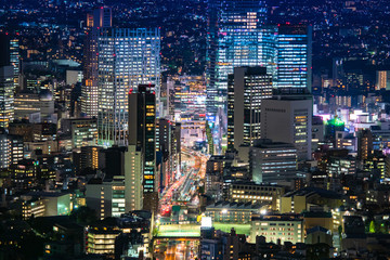 Fototapeta na wymiar Japan. Tokyo at night. Road in the center of night Tokyo. Highways of Japan. Evening Tokyo glows with a blue tint. Playground over the car. Soccer field in Japan. Japanese architecture
