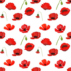 Red watercolor poppy flowers with clipping path in seamless pattern on white background.