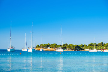 Fototapeta na wymiar Beautiful peaceful Kosirina bay, anchored sailing boats and yachts, island Murter, Croatia