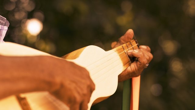 Viola de cocho
