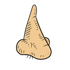 a human nose, detailed icon or vector illustration of a male nose with hair. 