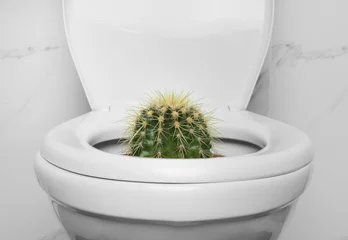 Gordijnen Toilet bowl with cactus near marble wall. Hemorrhoids concept © New Africa