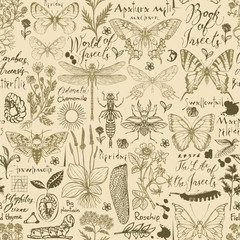 Vector seamless pattern with insects and medicinal herbs in retro style. Hand-drawn herbs, butterflies, beetles, sketches and inscriptions on an old paper background. Wallpaper, wrapping paper, fabric © paseven