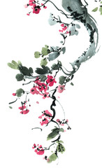 Blossom sakura tree