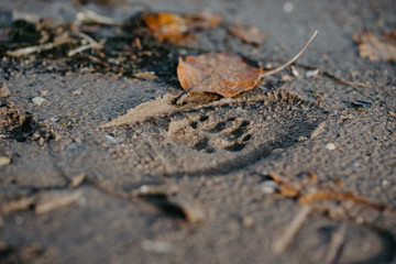 Das Meer im Herbst