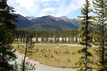 Rivers and waterfalls with pine tree forests and summits in the Rocky Mountains in Canada, British Columbia, West coast