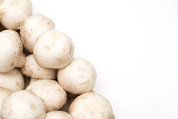 fresh mushrooms on an isolated white background, there is a place for copy