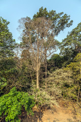 landscape ruins Angkor Wat Cambodia.