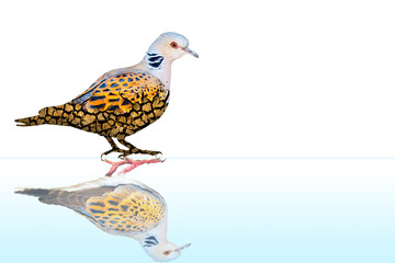 Obraz premium Abstract nature and birds. Double exposure effect. Nature background.