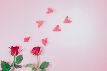 flat lay decorate design for valentine's day with red rose and small heart on pink pastel background and copy space