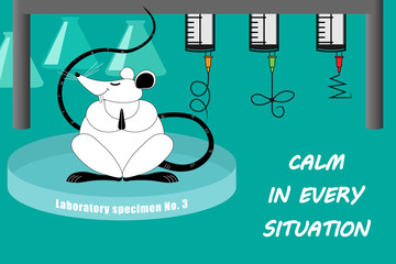 A mouse meditates in a test lab and spoils, breaks equipment