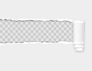 torn paper edge vector illustration