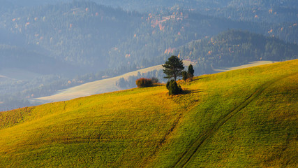 Małe Pieniny, Słowacja © Małgorzata