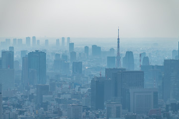 dust during daytime in a very polluted city - in this case Tokyo, Japan. Cityscape of buildings...