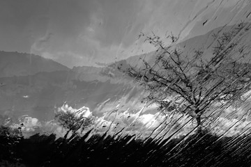 Abstract nature. Double exposure effect. Nature background.