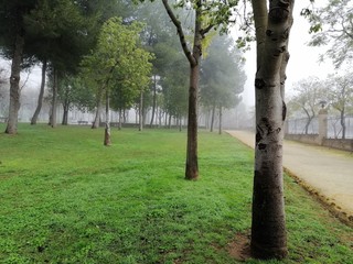 parque en un diá de niebla
