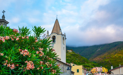 Fototapeta na wymiar Manarola, Italy. Iconic landmark village in Cinque Terre national park in Italy, Ligury. UNESCO world heritage site. Manarola is famous and popular travel destination.
