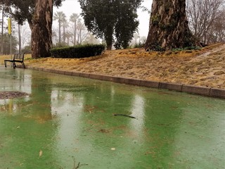 parque en un diá de niebla