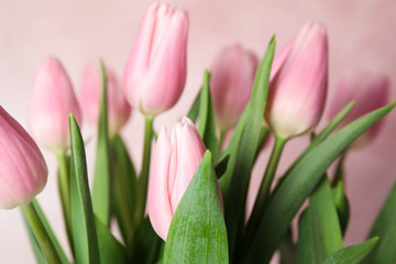 Bouquet of beautiful spring tulips on light pink background, closeup