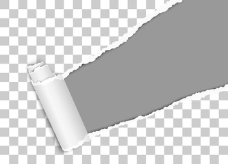 torn paper with copy space for text