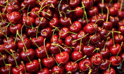 Stall of organic vegetables and fruits at a farmers market. Selling organic fresh agricultural product at farmer market.